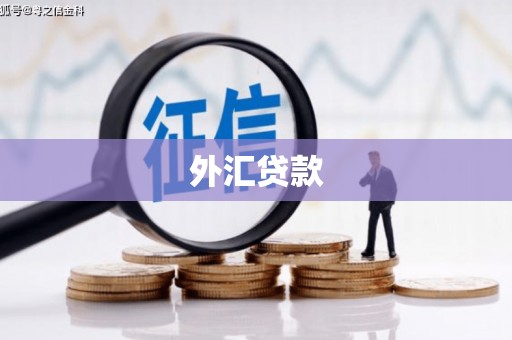 丹徒外汇贷款