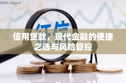 丹徒信用贷款，现代金融的便捷之选与风险管控