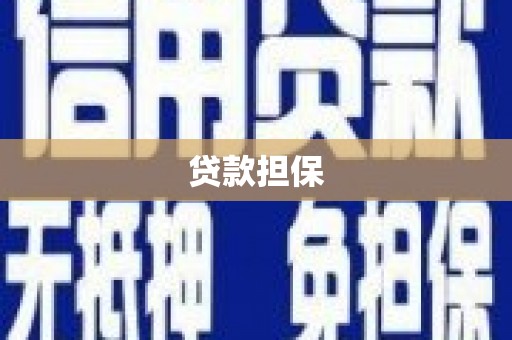 丹徒贷款担保