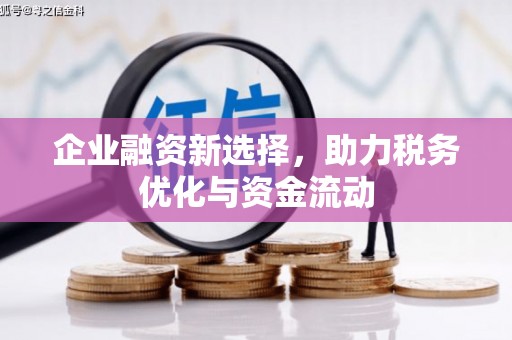 丹徒企业融资新选择，助力税务优化与资金流动