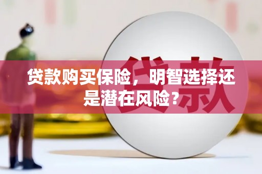丹徒贷款购买保险，明智选择还是潜在风险？