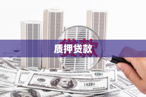 丹徒质押贷款