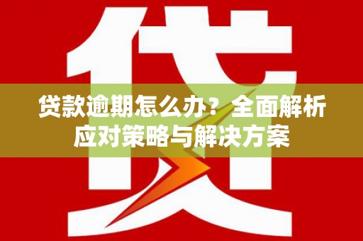 丹徒贷款逾期怎么办？全面解析应对策略与解决方案