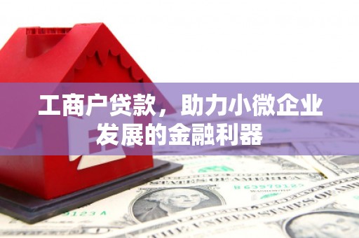丹徒工商户贷款，助力小微企业发展的金融利器