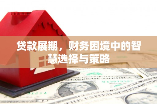 丹徒贷款展期，财务困境中的智慧选择与策略