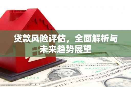 丹徒贷款风险评估，全面解析与未来趋势展望