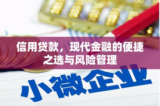 丹徒信用贷款，现代金融的便捷之选与风险管理