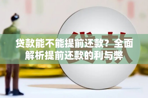 丹徒贷款能不能提前还款？全面解析提前还款的利与弊