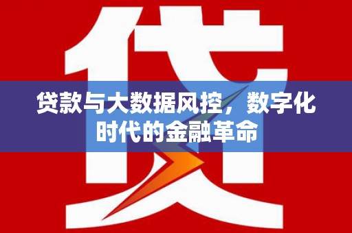丹徒贷款与大数据风控，数字化时代的金融革命
