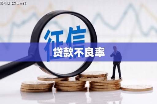 丹徒贷款不良率