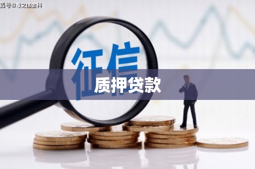 丹徒质押贷款