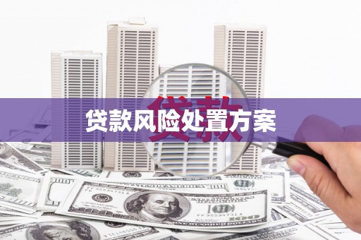 丹徒贷款风险处置方案