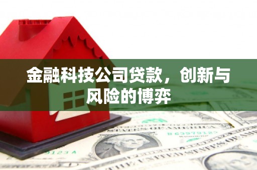 丹徒金融科技公司贷款，创新与风险的博弈