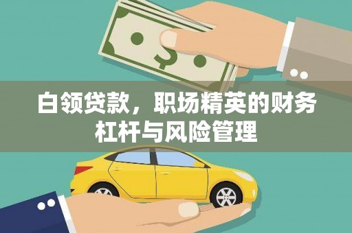 丹徒白领贷款，职场精英的财务杠杆与风险管理