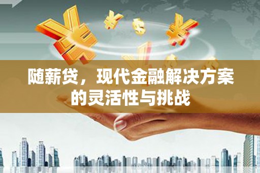 丹徒随薪贷，现代金融解决方案的灵活性与挑战