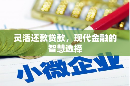 丹徒灵活还款贷款，现代金融的智慧选择