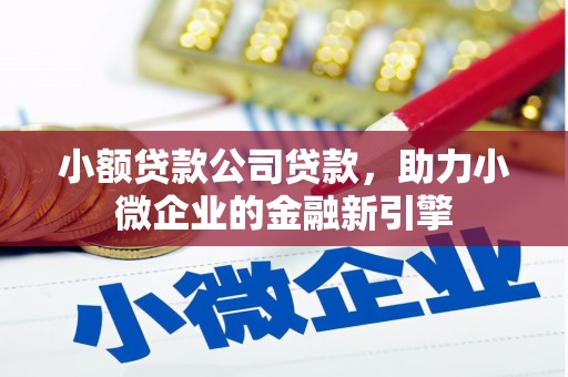 丹徒小额贷款公司贷款，助力小微企业的金融新引擎