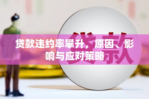 丹徒贷款违约率攀升，原因、影响与应对策略