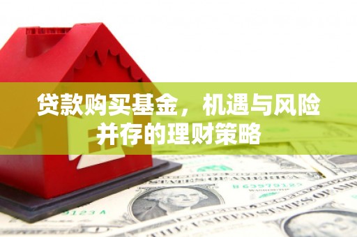 丹徒贷款购买基金，机遇与风险并存的理财策略