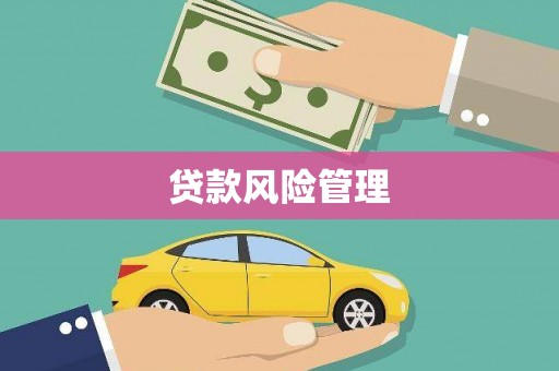 丹徒贷款风险管理