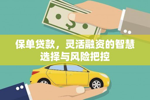 丹徒保单贷款，灵活融资的智慧选择与风险把控