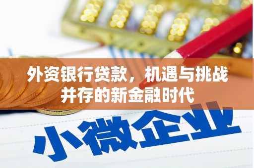 丹徒外资银行贷款，机遇与挑战并存的新金融时代