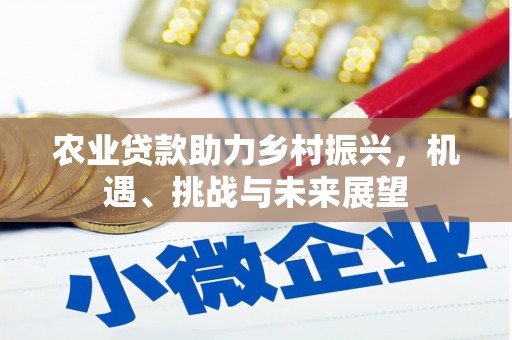 丹徒农业贷款助力乡村振兴，机遇、挑战与未来展望