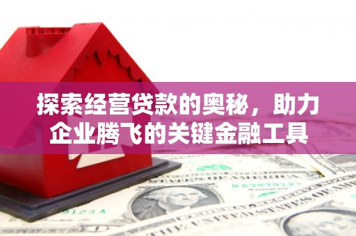 丹徒探索经营贷款的奥秘，助力企业腾飞的关键金融工具