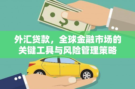 丹徒外汇贷款，全球金融市场的关键工具与风险管理策略