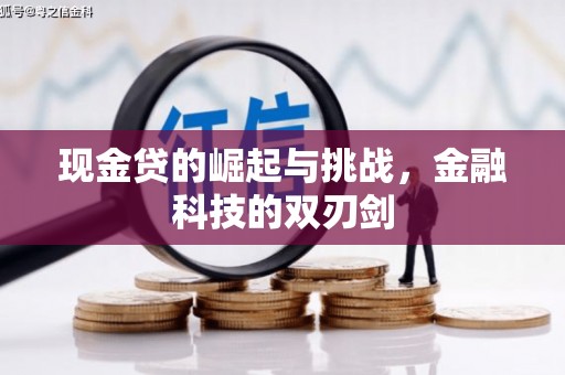 丹徒现金贷的崛起与挑战，金融科技的双刃剑
