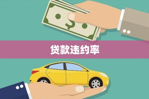 丹徒贷款违约率