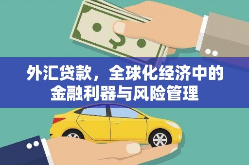 丹徒外汇贷款，全球化经济中的金融利器与风险管理