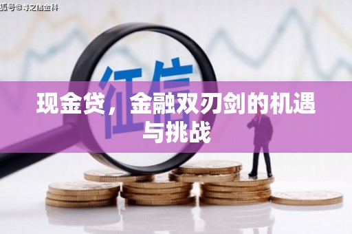 丹徒现金贷，金融双刃剑的机遇与挑战