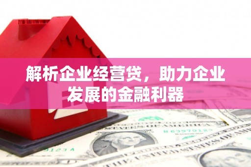 丹徒解析企业经营贷，助力企业发展的金融利器