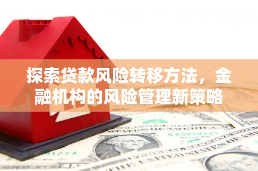 丹徒探索贷款风险转移方法，金融机构的风险管理新策略
