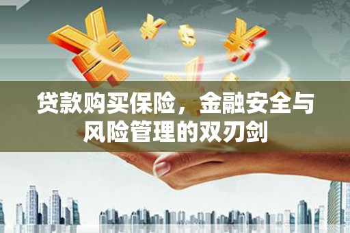 丹徒贷款购买保险，金融安全与风险管理的双刃剑
