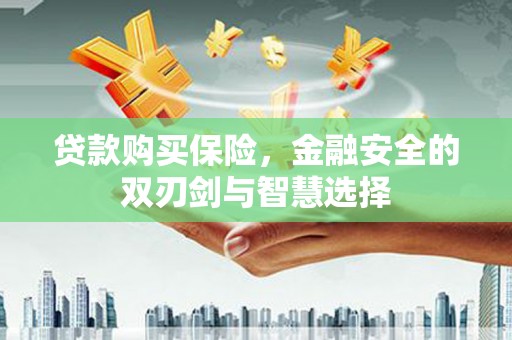 丹徒贷款购买保险，金融安全的双刃剑与智慧选择