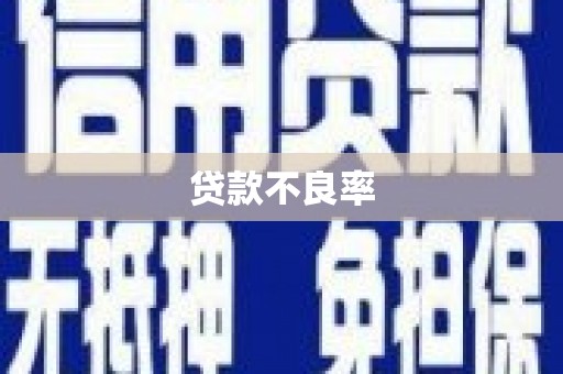 丹徒贷款不良率