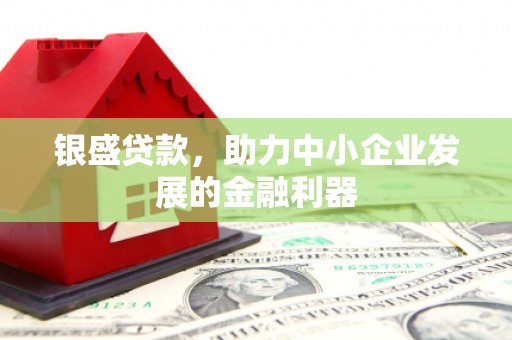 丹徒银盛贷款，助力中小企业发展的金融利器