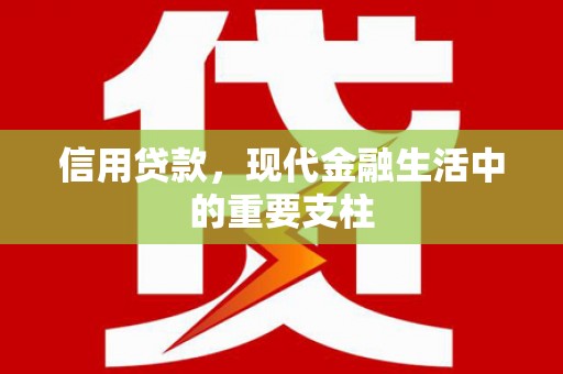丹徒信用贷款，现代金融生活中的重要支柱