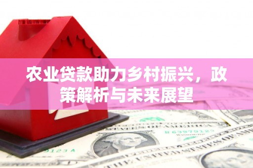 丹徒农业贷款助力乡村振兴，政策解析与未来展望