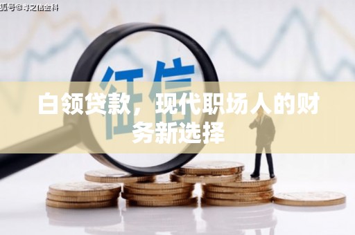 丹徒白领贷款，现代职场人的财务新选择