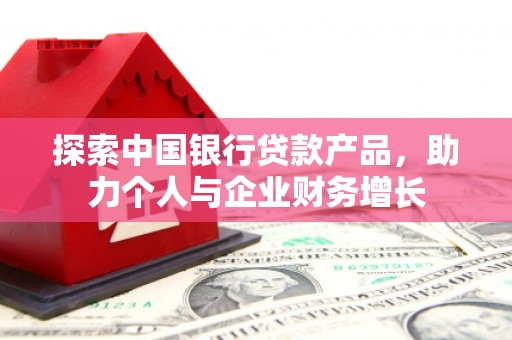 丹徒探索中国银行贷款产品，助力个人与企业财务增长