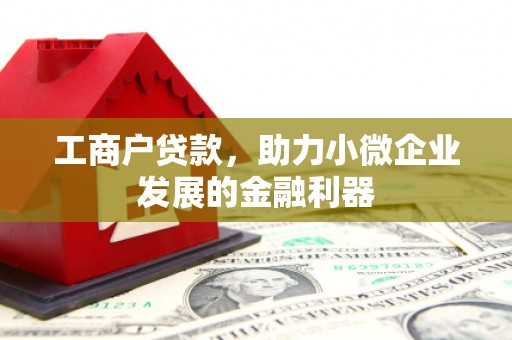 丹徒工商户贷款，助力小微企业发展的金融利器