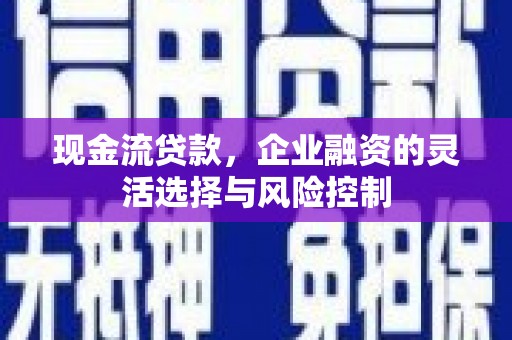 丹徒现金流贷款，企业融资的灵活选择与风险控制