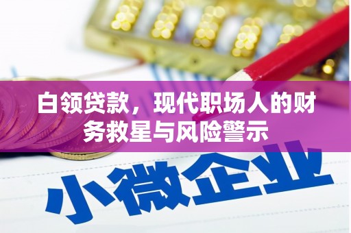 丹徒白领贷款，现代职场人的财务救星与风险警示