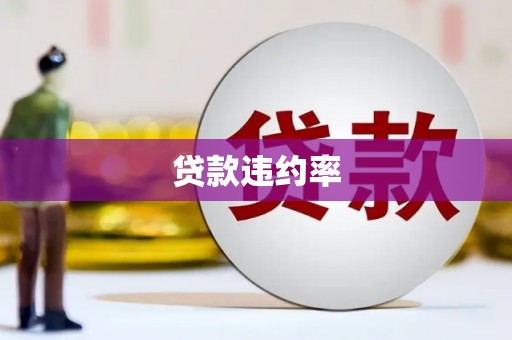 丹徒贷款违约率