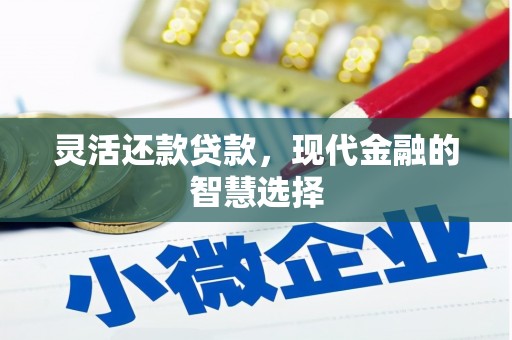 丹徒灵活还款贷款，现代金融的智慧选择