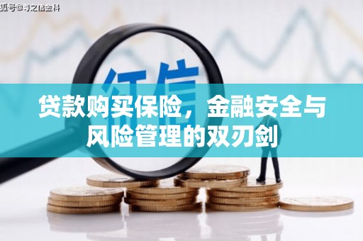 丹徒贷款购买保险，金融安全与风险管理的双刃剑