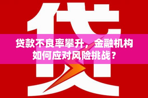 丹徒贷款不良率攀升，金融机构如何应对风险挑战？